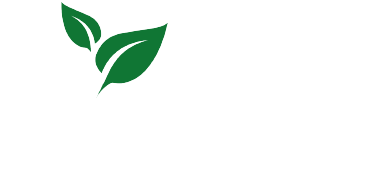 LOGO-min_Plan de travail 1 copie