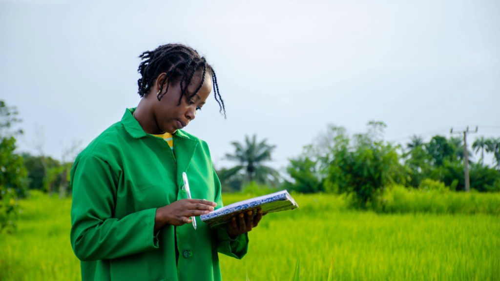 Entrepreneuriat féminin et inclusion financière