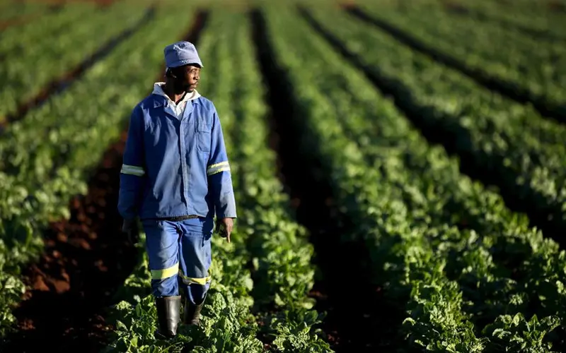 Agrobusiness et développement économique
